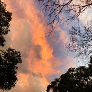 Meet your Posher, Chloe